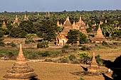 Bagan Myanmar. View of the various stupas close to Buledi. 